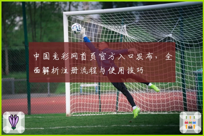 中国竞彩网首页官方入口发布,全面解析注册流程与使用技巧