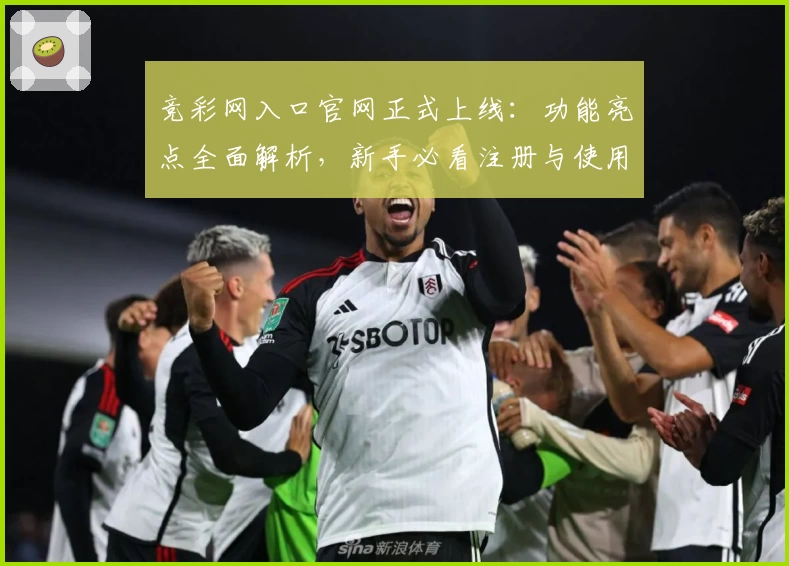 竞彩网入口官网正式上线：功能亮点全面解析，新手必看注册与使用指南