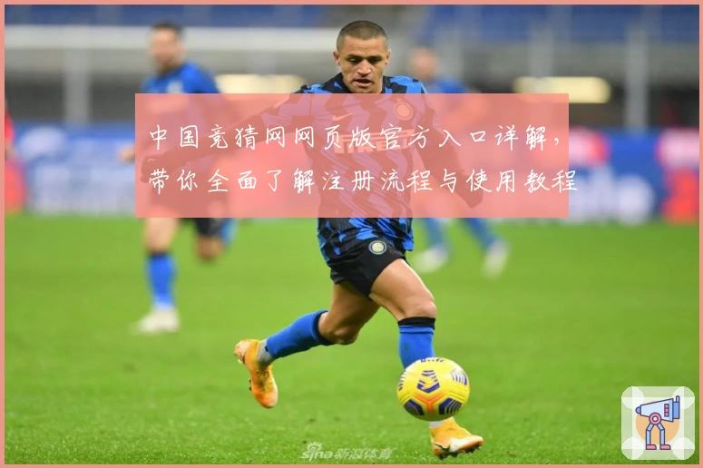 中国竞猜网网页版官方入口详解，带你全面了解注册流程与使用教程