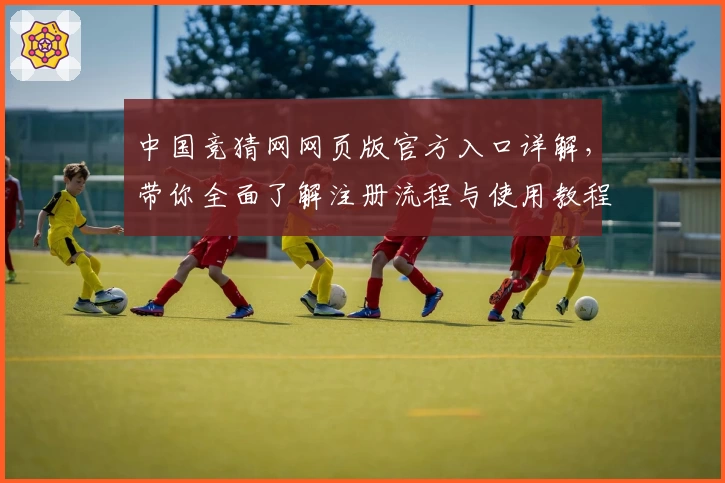 中国竞猜网网页版官方入口详解，带你全面了解注册流程与使用教程