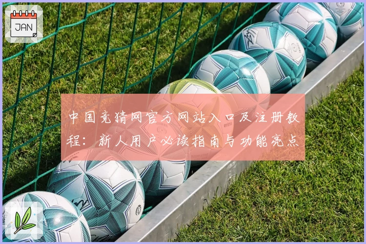 中国竞猜网官方网站入口及注册教程：新人用户必读指南与功能亮点详解